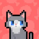 数猫猫 游戏图标