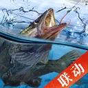 天天钓鱼（TapTap测试版） 游戏图标