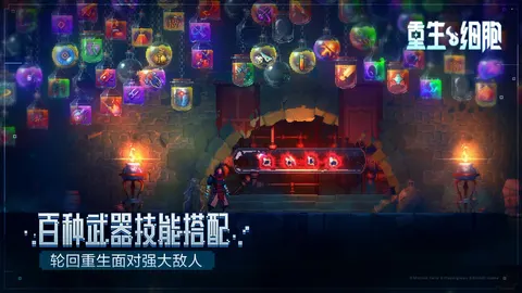 重生细胞 游戏截图 3