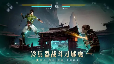 暗影格斗3 游戏截图 2