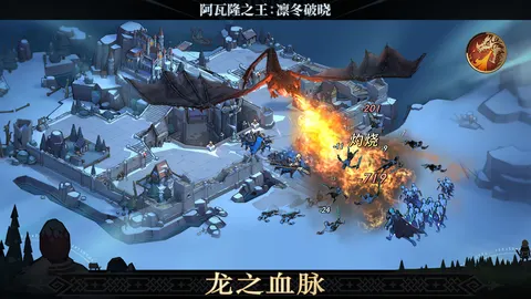 阿瓦隆之王 游戏截图 1